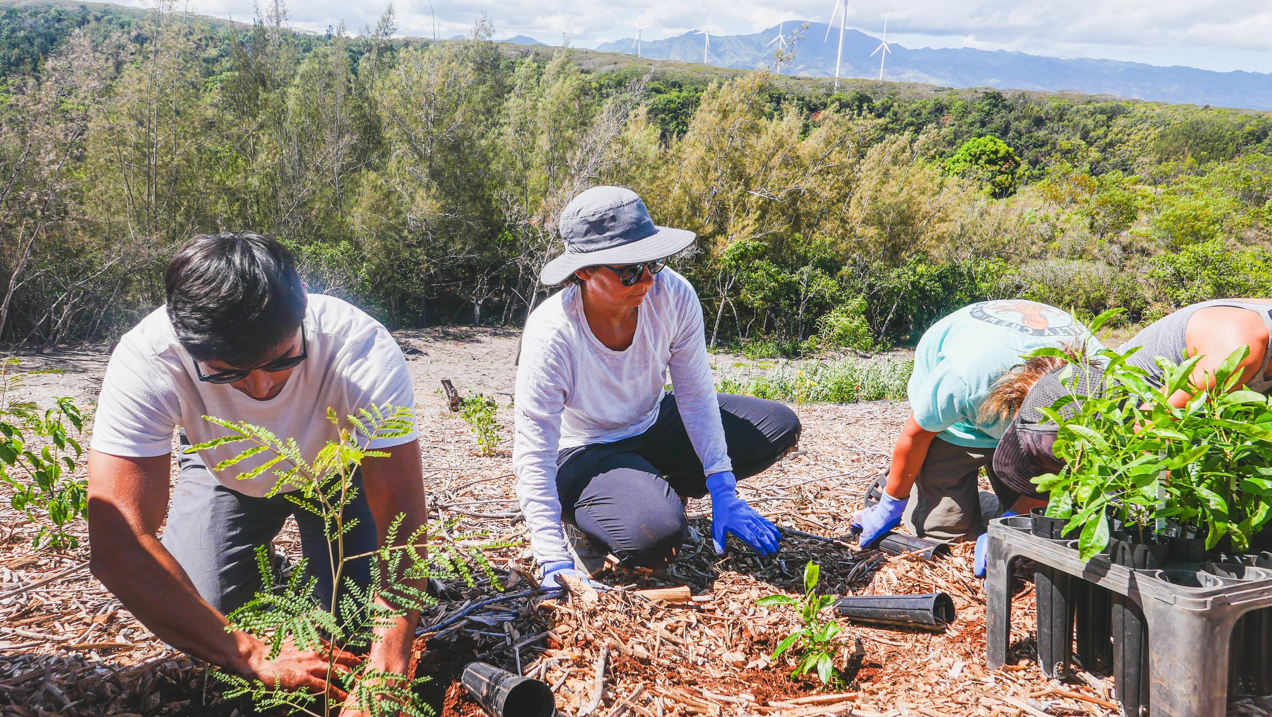 Healthcare volunteers and nursing professionals working together in a community setting in Hawaii